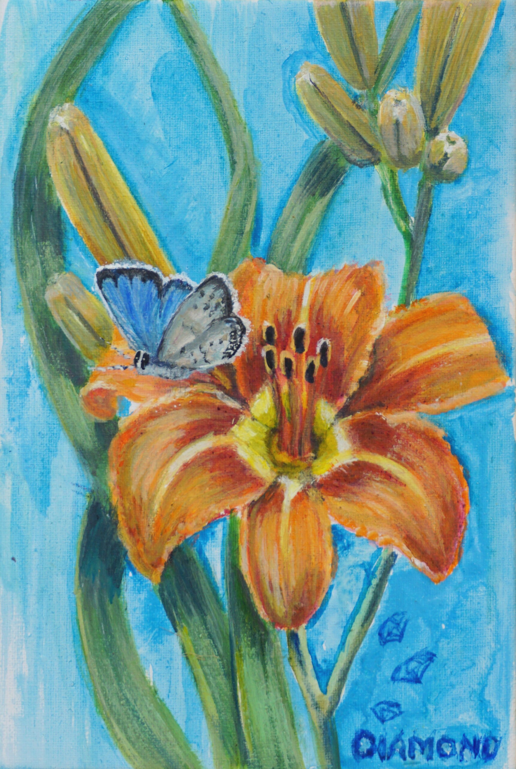 Daylily and Silvery Blue Butterfly