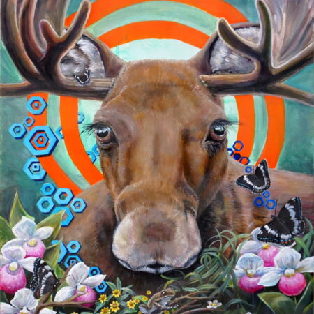 What the Bull's Eye Perceives