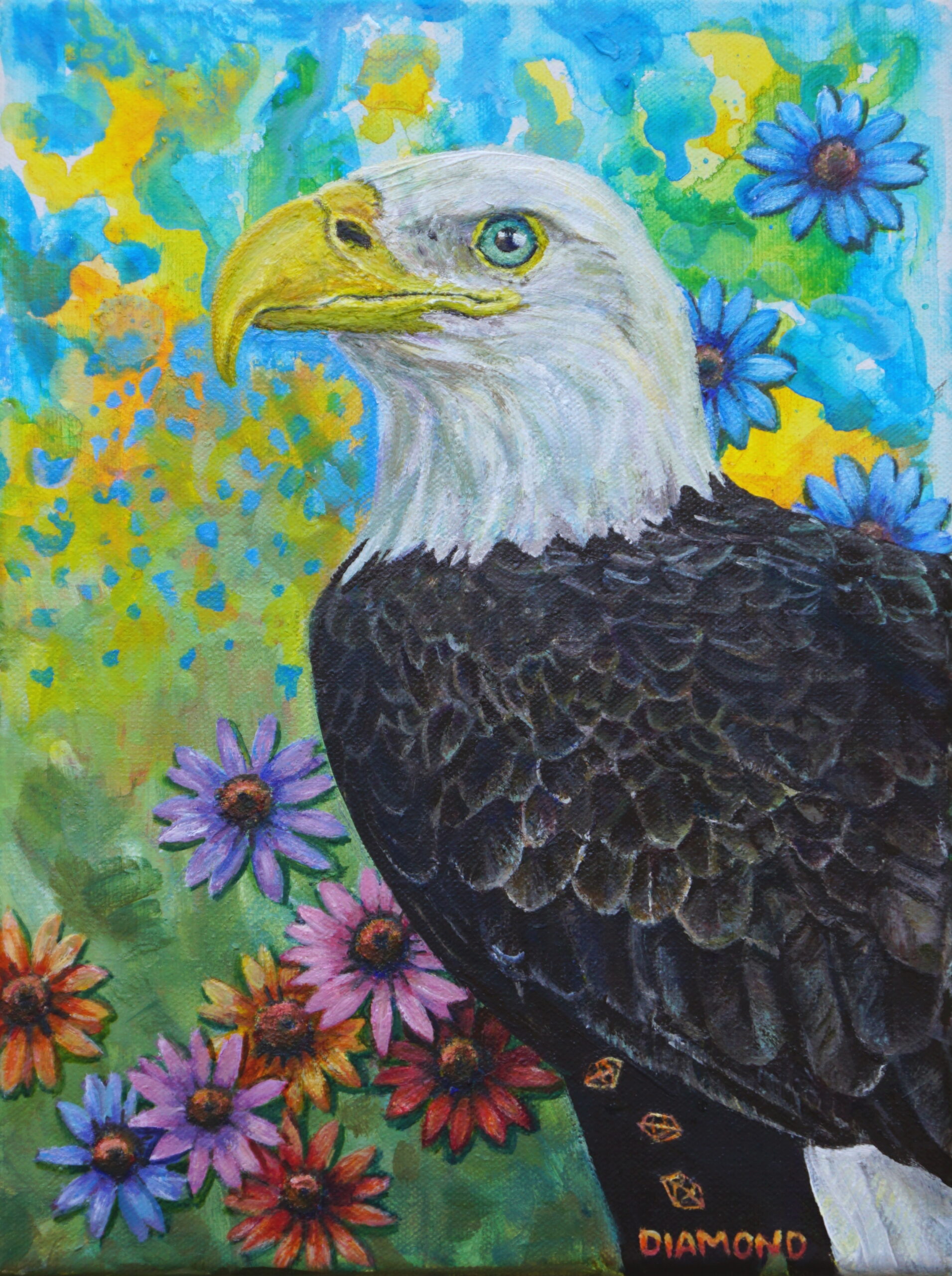 Bald Eagle