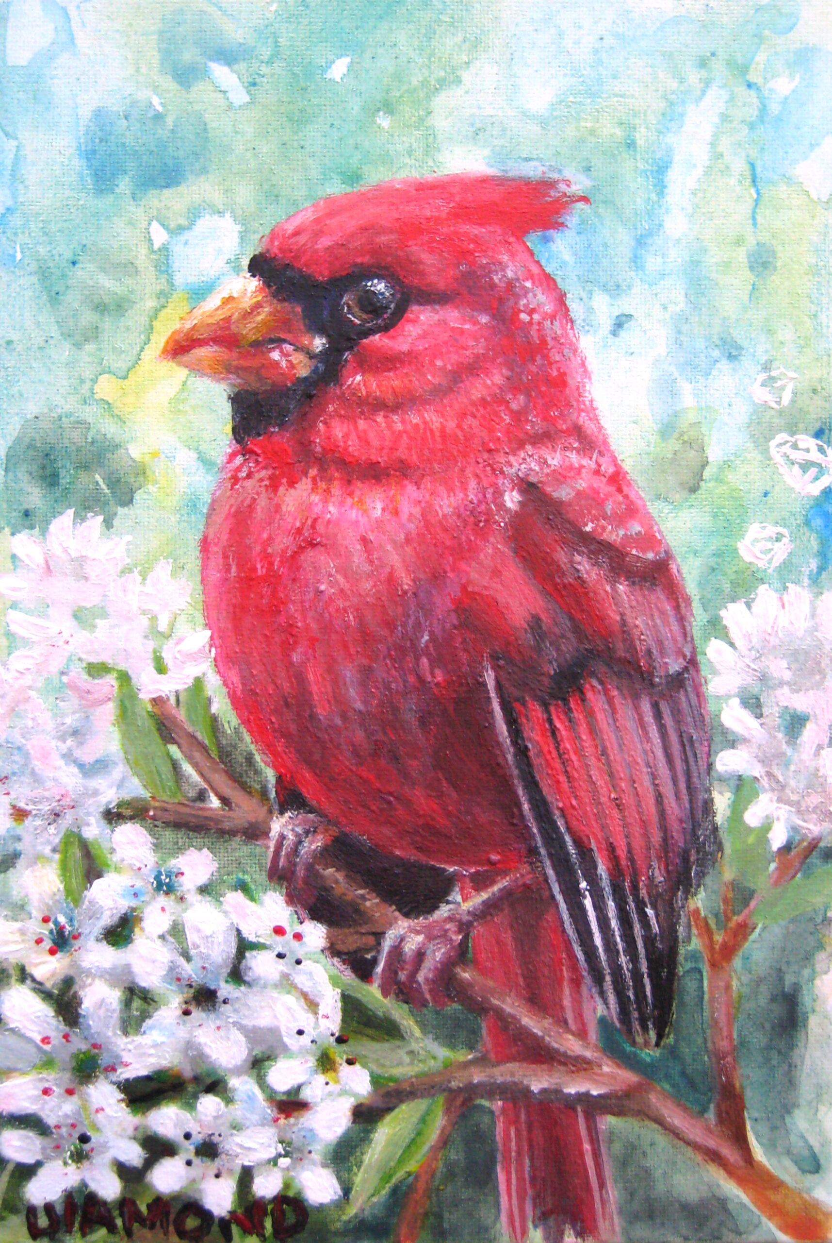 Cardinal #1