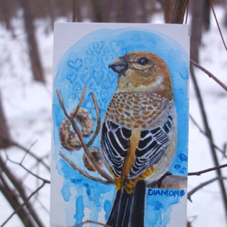 Female Pine Grosbeak