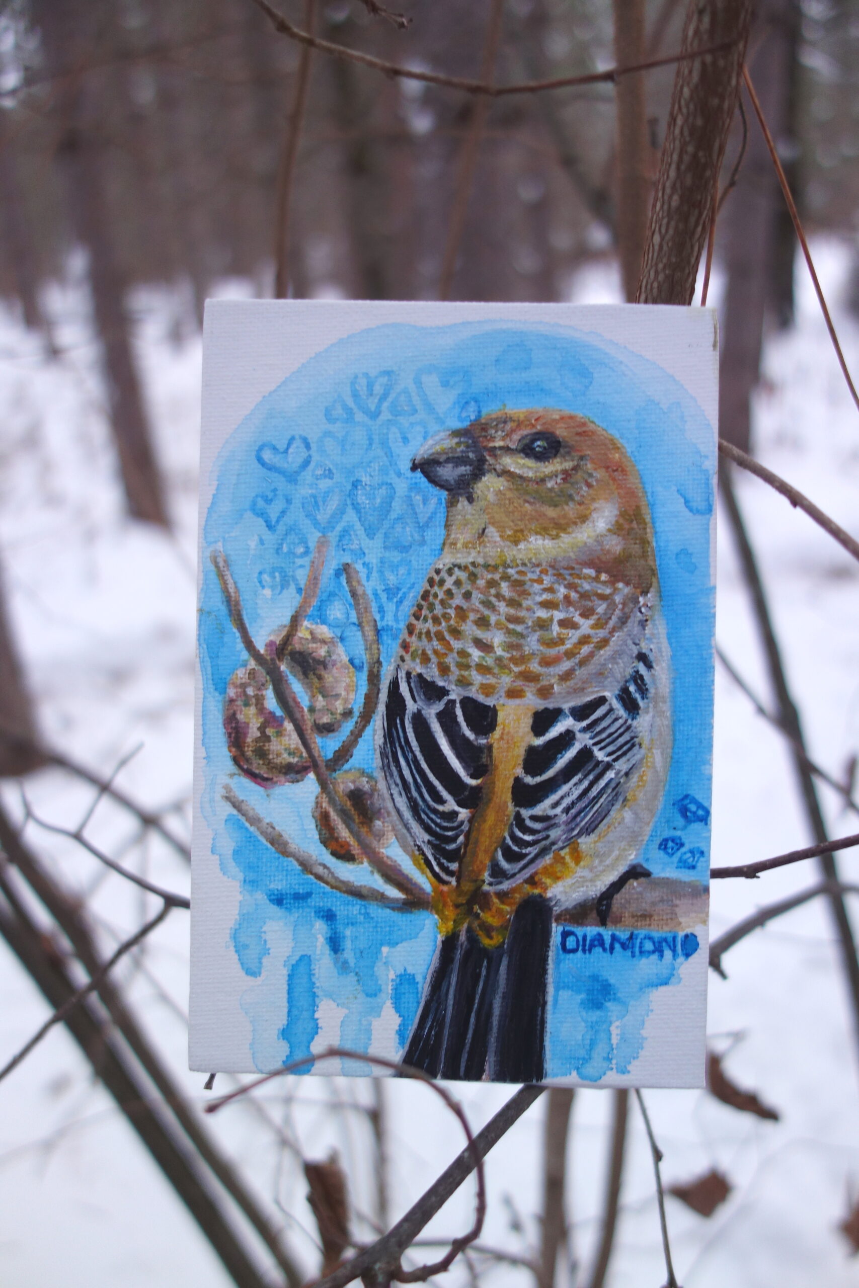 Female Pine Grosbeak