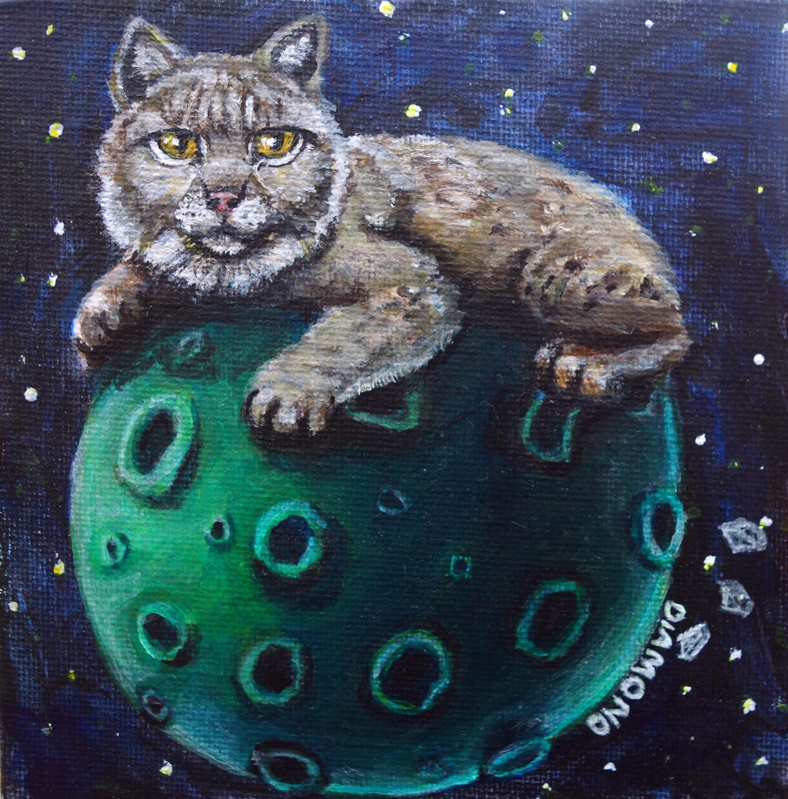 Lynx On The Moon