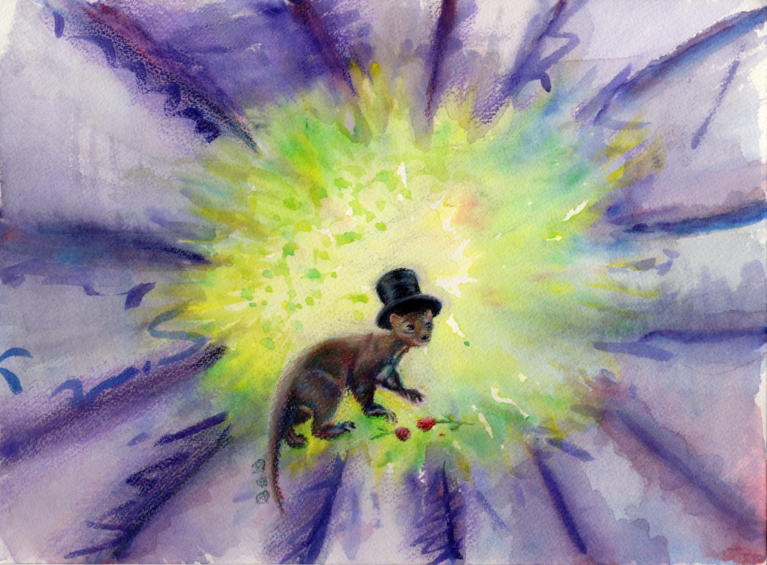 Fishing For Compliments